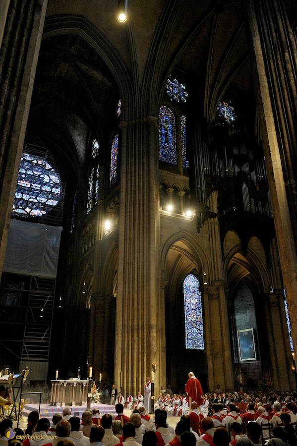 Nom de l'image : D30058246_1_(c)Norbert-JUNG — Description :